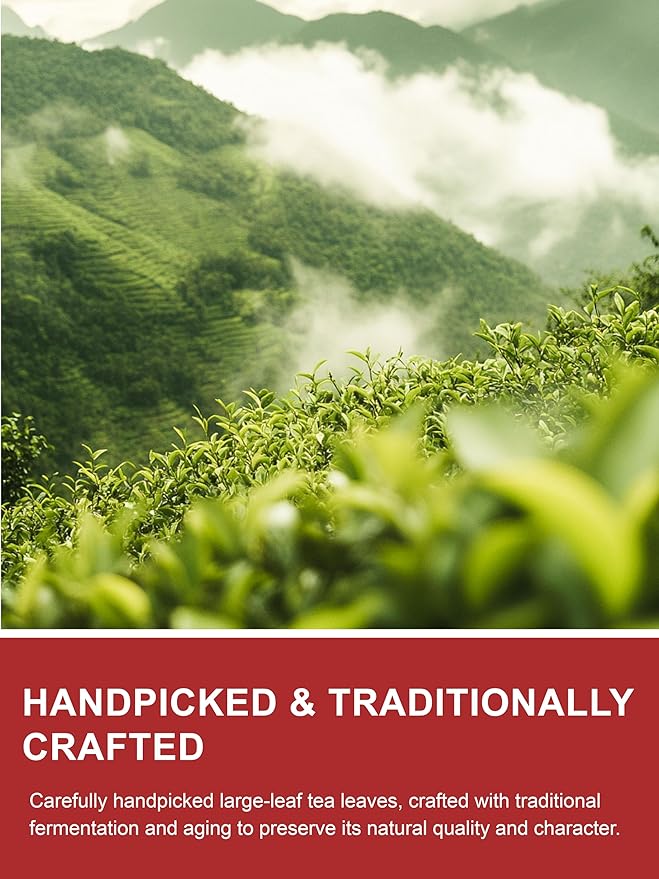 TeeLux Emperor Pu-erh Tea Loose Leaf Fermented Yunnan Dark Tea Smooth &amp Mellow Flavor 16oz