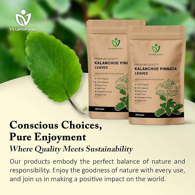 200 Kalanchoe Pinnata Leaves - 100% Pure Organic Dried Leaves for Teas Smoothies
