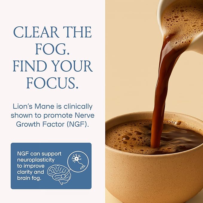 Mushroom Coffee 20 Cups of Focus Productivity &amp Clean Energy Instant Mushroom Coffee with Lions Mane Cordyceps and L-Theanine