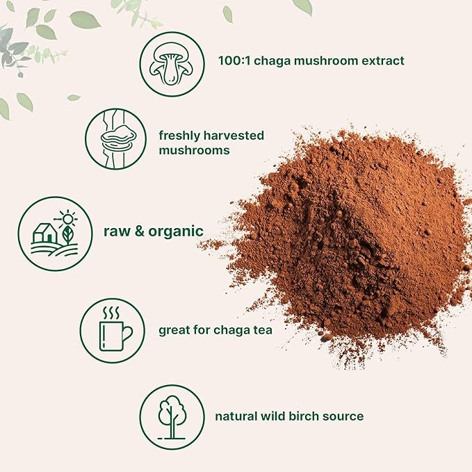 Micro Ingredients Organic Chaga Mushroom Extract 10 oz | 100:1 Wild Harvested | Supports Immune &amp Antioxidant Defense | Great for Tea &amp Smoothies | Non-GMO Vegan Friendly