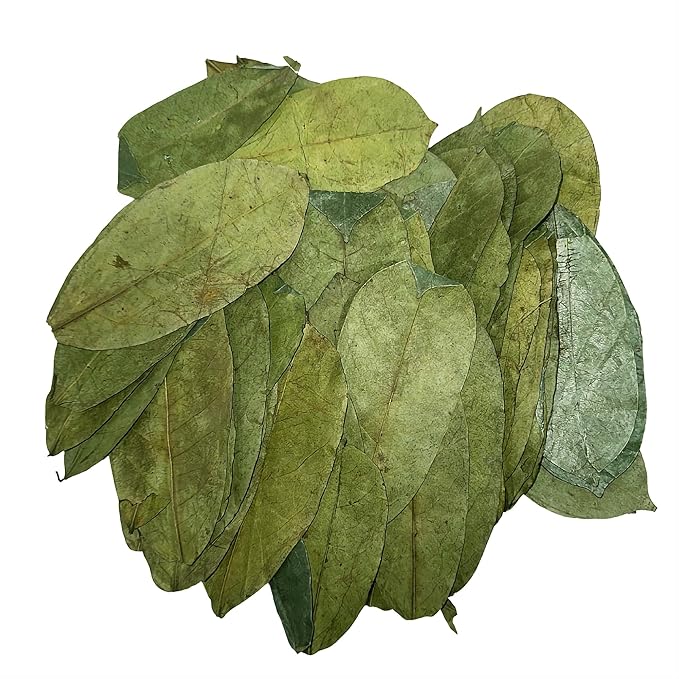 Purelife Herbs® Wildcrafted Soursop (Guanabana Graviola Guyabano) Dehydrated 1000 Leaves (±250g ±8.8oz)