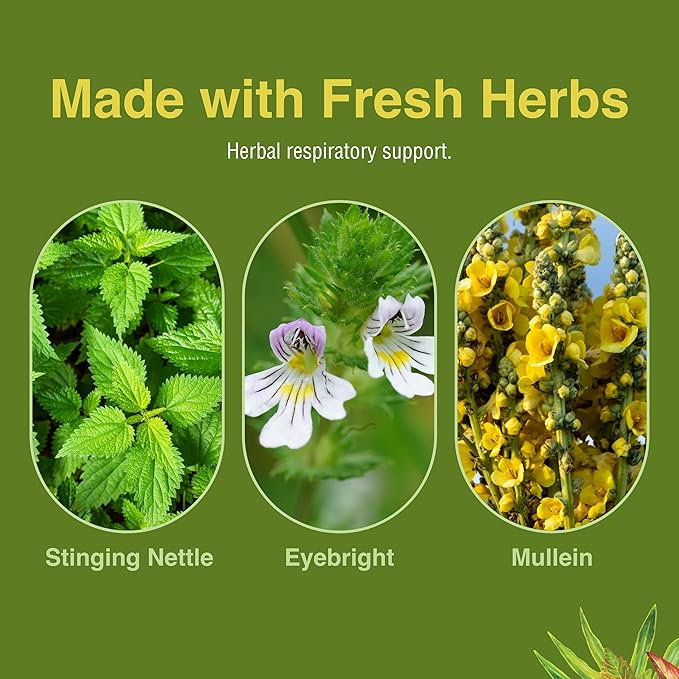 Herbs Etc. Allertonic - Healthy Breathing Support - Herbal Blend to Aid Against Seasonal Discomfort - Lung &amp Respiratory Health Support with Stinging Nettle - 120 Softgels (120 Servings)