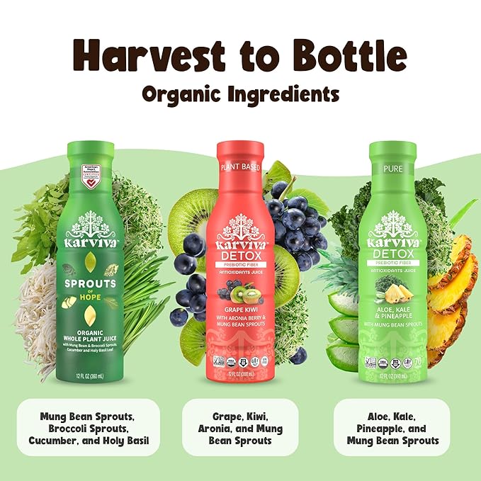 Karviva Organic Juice Cleanse for Sugar Detox &amp Weight Control - Ancient Eastern Remedies for Healthy Digestion &amp Gentle Detox with Sprouts Aloe Vera - Prebiotic Fiber Electrolytes &amp Ant