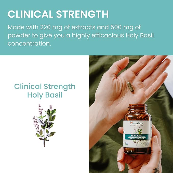 Himalaya Holy Basil 60 Day Supply - Herbal Adrenal Support for Stress Relief Relaxation Energy Support and Occasional Sleeplessness - Vegan Non-GMO Gluten Free 720 mg 60 Capsules Pack of 2
