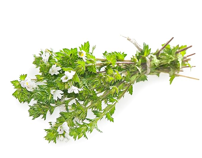 Eyebright Herb (Euphrasia L) - Health Embassy (50g)