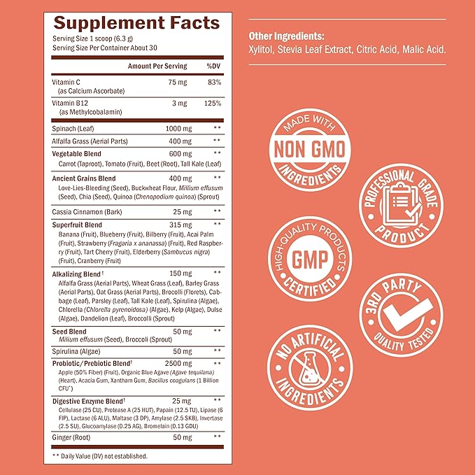 Super Greens Powder Superfood - Greens Powder with Probiotics Prebiotics Digestive Enzymes and 43 Green Superfoods - Chlorophyll Bilberry Chlorella Spirulina Grass - Tastes Amazing - 30 Servings