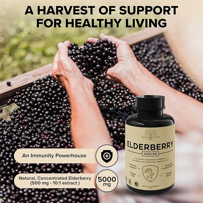 Elderberry with Vitamin C Zinc &amp Ginger – Potent Immune Booster 5000 Mg Elderberry Zinc &amp Vitamin C – Non-GMO Immunity Vitamins for Adults to Help You Feel Vibrant 120 Caps