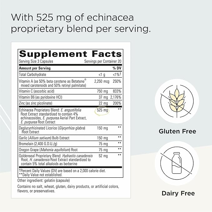 Integrative Therapeutics EHB - Immune Support Supplement with Vitamins A C &amp B6* - Mineral Support with Zinc - Dairy-Free &amp Gluten-Free - 60 Capsules (20 Servings)