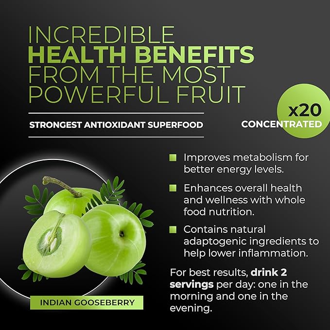 Amla Powder &amp Green Tea Superfood Supplement 20x Ultra Concentrated Amla Antioxidant Support Made with Oolong Tea and Indian Gooseberries Organic Vegan Classic Flavor 30 Servings
