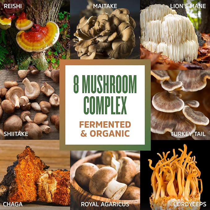 ZHOU Mushroom 8-Plex - Mushroom Supplement Powder Blend Coffee Alternative for Adults Nootropic Complex for Health with Chaga Lions Mane Reishi &amp Turkey Tail - 2.14oz (30 Servings)