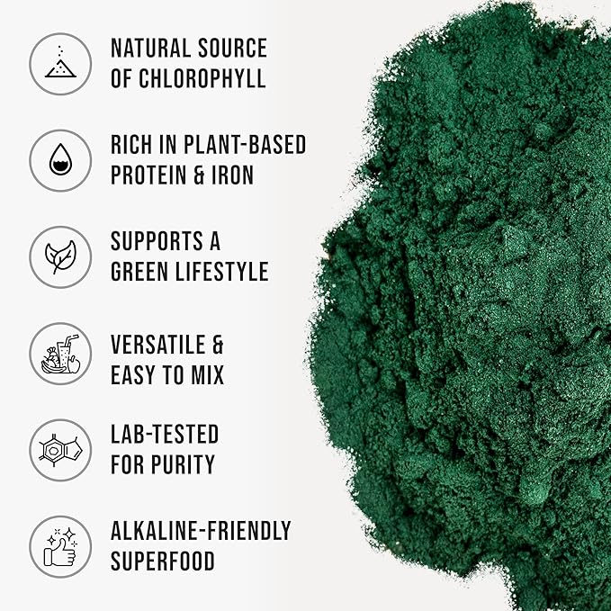 Organic Chlorella Powder 22 oz Raw Premium Superfood Rich in Vegan Protein &amp Chlorophyll Non-GMO Vegan-Friendly Supplement 312 Servings 1.37 lb (624g)