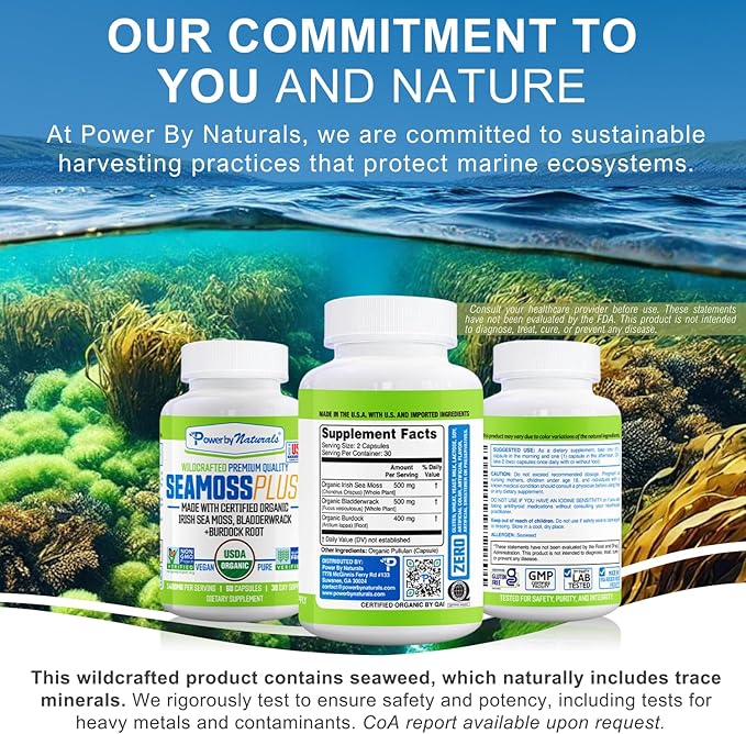 Power By Naturals Sea Moss Plus - USDA Certified Organic Wildcrafted Irish Seamoss Bladderwrack &amp Burdock Root Supplement for Immunity 60Ct 2 Pack