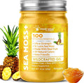 WELLNESS LABSRX Irish Sea Moss Gel Raw - Wildcrafted Superfood Seamoss Gel - Pineapple Flavor Vitamin and Mineral-Rich from Pristine Caribbean Waters Immune and Digestive Health Support - 10 oz.