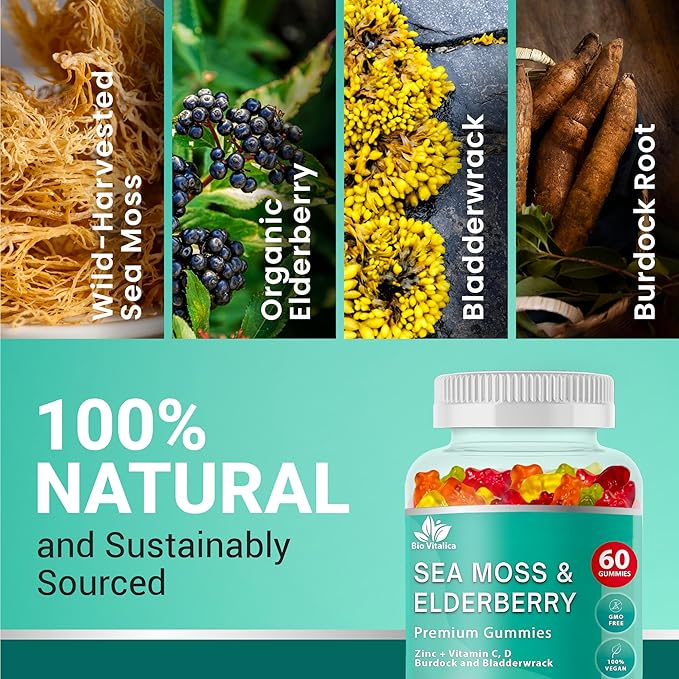 BIO VITALICA Sea Moss Gummies Elderberry BioVitalica - Vitamin C D + Zinc - Irish Seamoss Vegan Gummy with Sea Moss Gel &amp Powder for Immunity Detox - for Adults and Kids (2Packs)