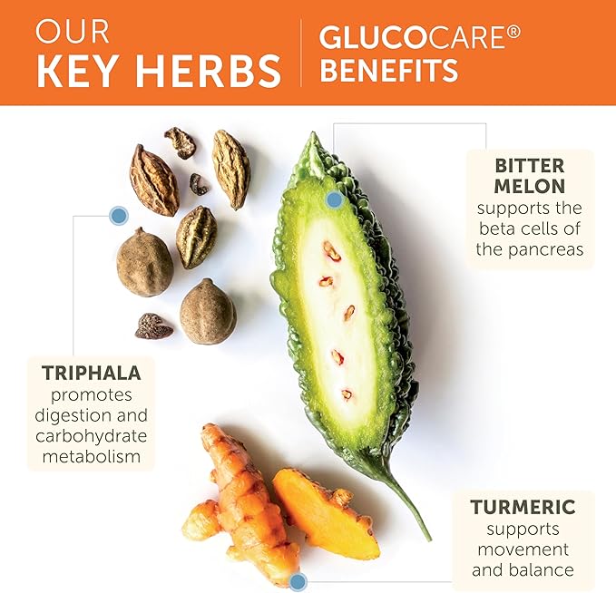 Himalaya GlucoCare – Herbal Glucose Metabolism &amp Pancreatic Support with Bitter Melon Gymnema Triphala &amp Turmeric – Natural Blood Sugar Support – Vegan Non-GMO Gluten-Free – 90 Capsules