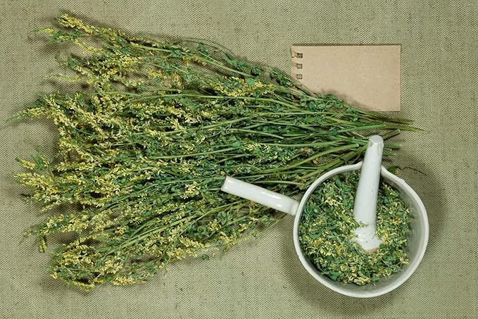 Health Embassy Meliot Sweet Clover Herb | Melilotus Officinalis L | Herbal Tea (100g)