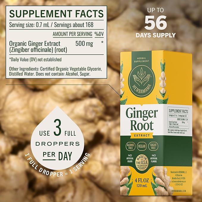 HERBAMAMA Ginger Drops - Vegan Digestive Support &amp Overall Well-Being with Ginger Root Extract Tincture - Non-GMO Alcohol &amp Sugar-Free Liquid Antioxidant Supplement 56-Day Supply