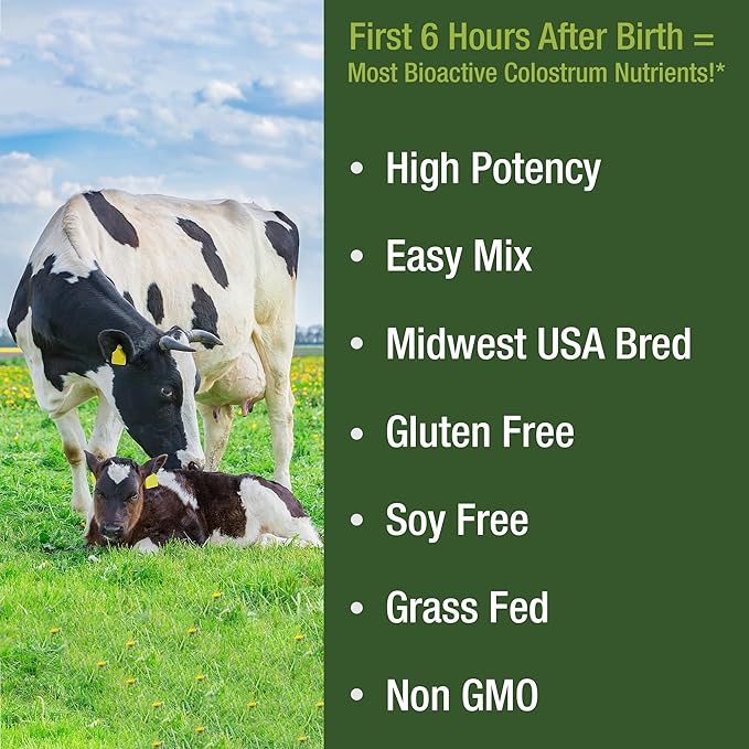 First Milking Colostrum Powder from Grass Fed USA Cows Milked Within 6 Hours of Giving Birth to Get the Most Bioactive Nutrients. High Immunoglobulin Non-GMO Bovine Colostrum Supplement for Humans