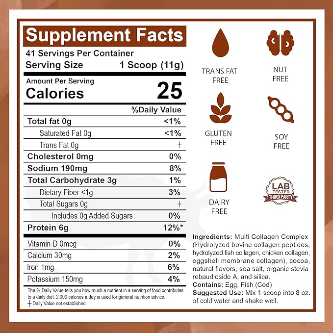 Zammex Multi Collagen Protein Powder Type I &amp III &amp V &amp X Hydrolyzed Collagen Peptides for Women &amp Men Supports Hair and Skin Gut Health 41 Servings Chocolate