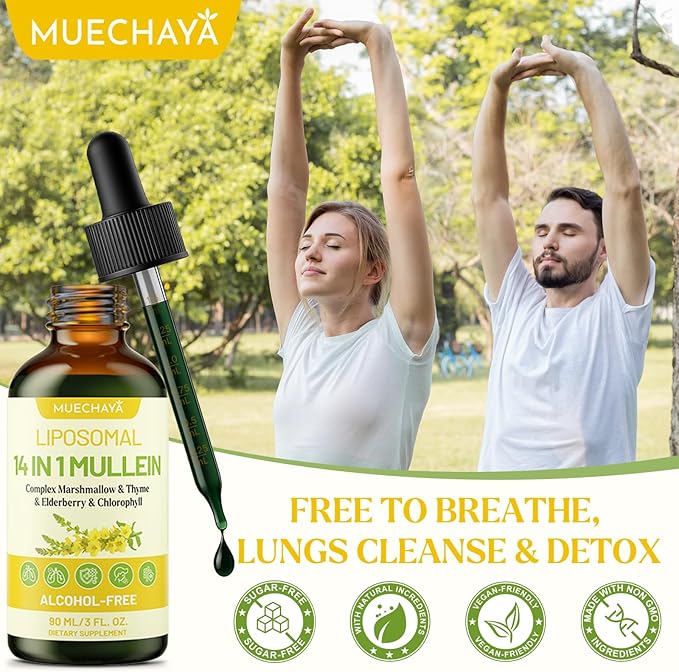 Mullein Drops For Lungs Liposomal 14 In 1 Mullein Leaf Extract For Lungs Mullein Drops with Elderberry Chlorophyll Thyme - for Lung Cleanse Detox Respiratory Immune Health 3 Fl 0Z Mint Flavor