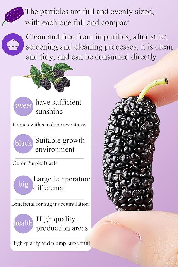 Black Mulberry Tea Dried Black Mulberries 12.7oz/360g Mulberry for Snack＆Baking Vegetarian Friendly桑葚干 黑桑葚 桑葚