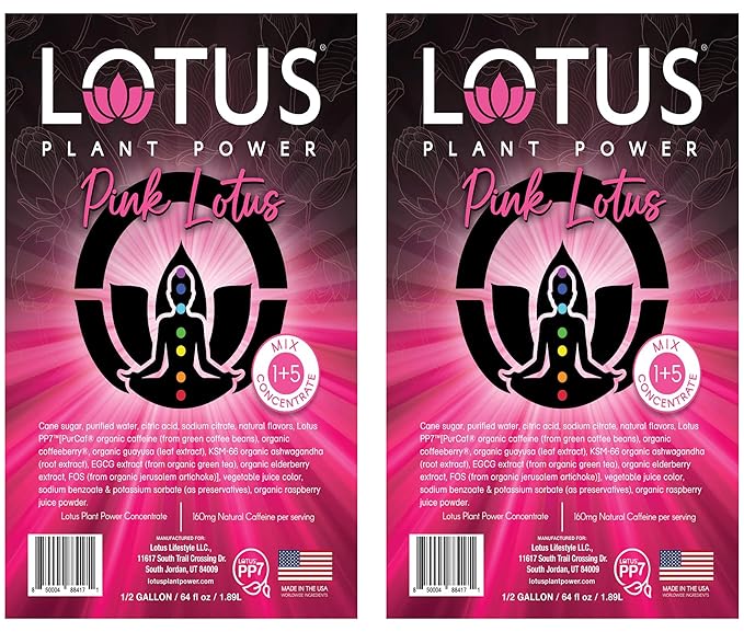 Lotus Energy Drink Concentrate 64 fl oz (Pink) Pack of 2
