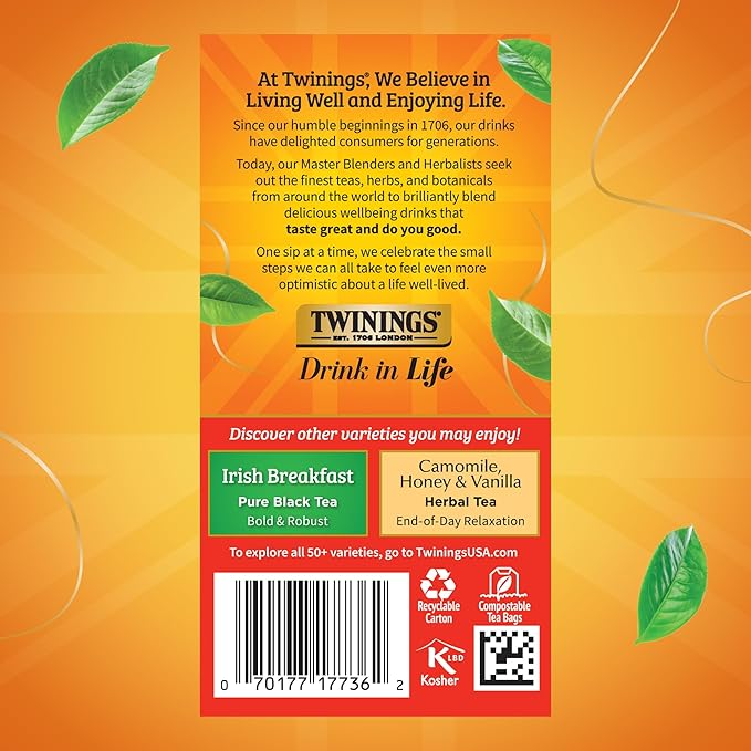 Twinings Extra Strong English Breakfast Black Tea Individually Wrapped Bags 20 Count (Pack of 6) Robust Caffeinated Enjoy Hot or Iced 120 Teabags