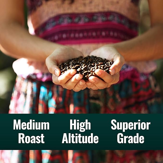 Natural Force - Bulk Organic Clean Coffee Classic Mold &amp Mycotoxin Free Lab Tested for Toxins &amp Purity Low Acidity Incredible Taste &amp Aroma Whole Bean Medium Roast 5 lbs