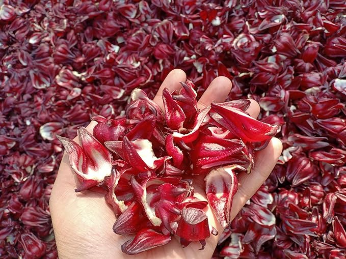 CARMEL ORGANICS Organic Hibiscus Petals Powder 28 Ounce or 1.75 Lb | USDA Certified Organic | Non GMO | Rich in Vitamin C | No Added Preservative | Indian Origin Hibiscus Powder