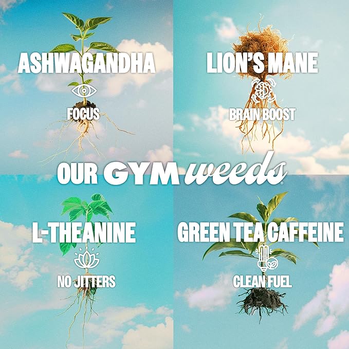 GYM WEED Athletic Focus Drink with KSM-66 Ashwagandha Lion's Mane Mushroom L-Theanine 200mg Green Tea Caffeine with Natural Sweeteners Sour and Sweet Variety of Flavors 12 Pack