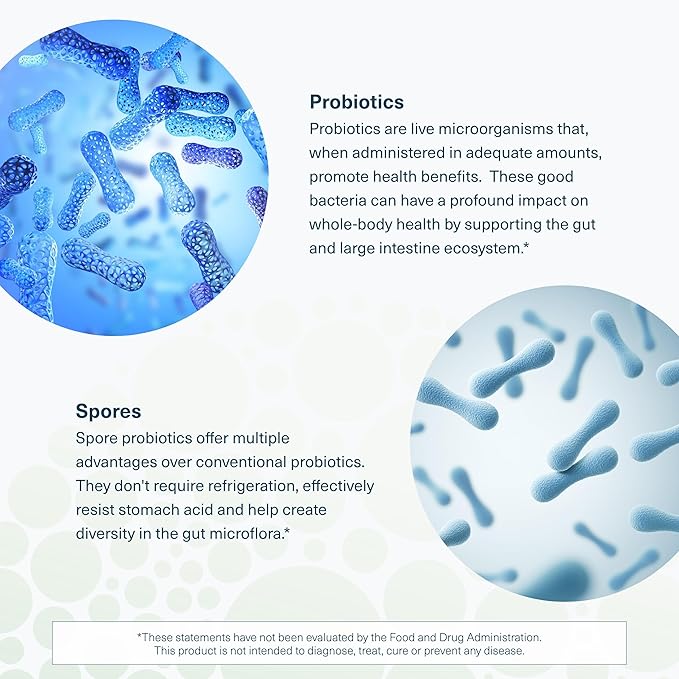 Youtheory Spore Probiotic - Helps Gut Health* - 6 Billion CFU with Prebiotics - Supports Regular Bowel Movement &amp Diarrhea Relief* - Shelf Stable - 60 Vegetarian Capsules (30-Day Supply)
