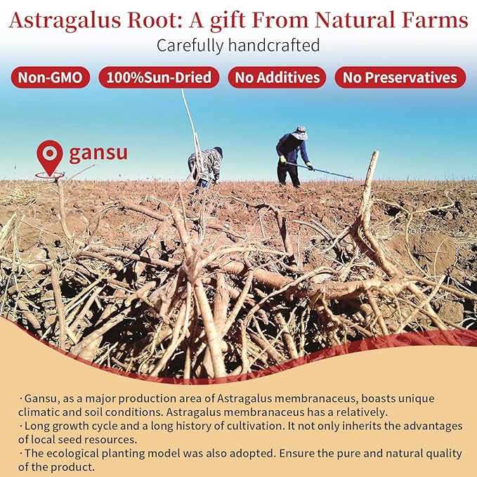 Astragalus Root for Tea Top Grade Huang Qi (Astragalus Root) Slices | 7oz (200g) Pure No Additives 黄芪 黄芪片
