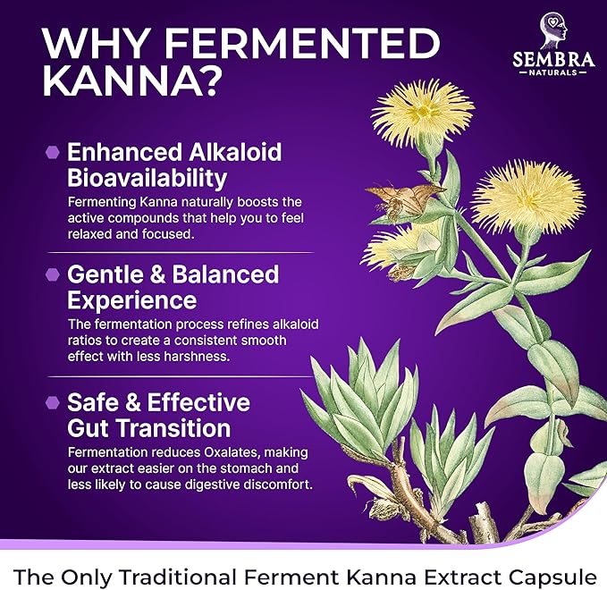 KANNAFOCUS - Natural Kanna Extract 50mg Fermented Sceletium Tortuosum &amp Bioperine® - Focus Mood &amp Mental Wellness Support - Herbal Nootropic for Daily Clarity &amp Energy - 30 Capsules