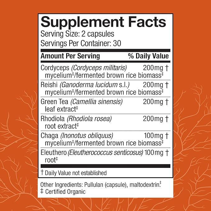 Host Defense MycoBotanicals Energy* Capsules - Energy &amp Respiratory Support Supplement - Herbal Green Tea Capsules - Respiratory Supplement with Cordyceps Reishi &amp Chaga - 60 Capsules (30 Ser