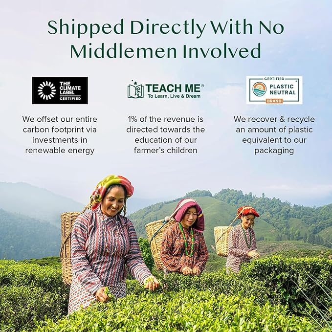 VAHDAM Organic Turmeric Ginger Herbal Tea Bags (100 Pyramid Tea Bags) Caffeine Free Non GMO | 100% Pure Herbal Blend - Savory &amp Spicy Plant-Based Teabags | Resealable Ziplock Pouch