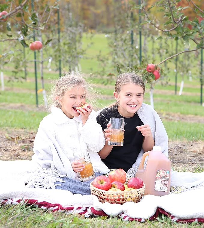 Kauffman's Fruit Farm Orchards Homemade Fresh-Pressed Apple Cider Frozen for Shipping 0.9 Gallon (Pack of 4)