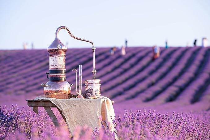 Lavender Tea 1LB (16Oz) 100% Certified Organic| Lavender Flowers Dried | Loose Lavender Tea| Perfect for Tea Baking Lemonade DIY Beauty Sachets &amp Fresh Fragrance | 100% Raw Albanian Harvest |