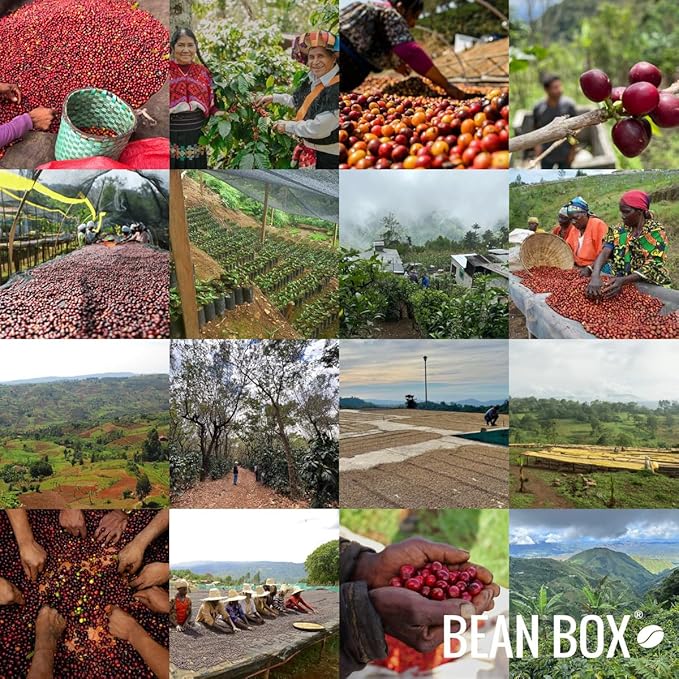 Decaf Mexico - Dark - Roasted by Amrita Certified Pure - Freshly Ground Coffee - 2 Pound Bag