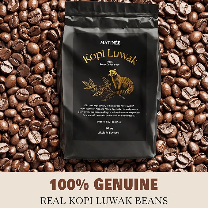 MATINÉE Wild Kopi Luwak Coffee Beans Medium Roast Whole Bean Coffee Sustainably Sourced From Vietnam 16oz / 454 Grams