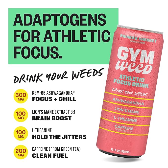 GYM WEED Athletic Focus Drink with KSM-66 Ashwagandha Lion's Mane Mushroom L-Theanine 200mg Green Tea Caffeine with Natural Sweeteners Rainbow Sherbet Flavor 12 Pack