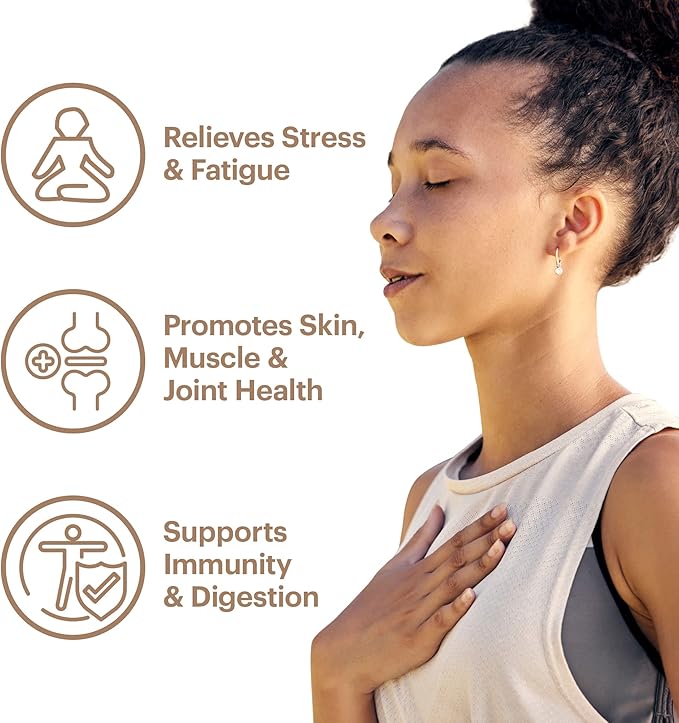 Wellthy Collagen Superfood Powder Fights Stress &amp Fatigue Cacao Mushroom Powder - Organic Chaga &amp Reishi Extracts Certified Organic Matcha Allergen-Free &amp Non-GMO
