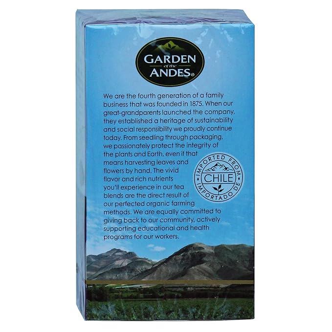 Organic Green Tea 20 Bags 3 Per Case