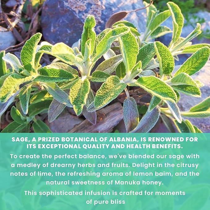 Yellow.fit Sage &amp Honey Herbal Tea Bags – 1500mg Loose Leaf Tea Bags Caffeine-Free Herbal Tea with Sage Leaves &amp Honey Flavor Plant-Based Tea Bags 100 Count
