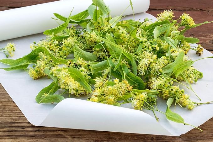 Health Embassy Linden Flower Tea | Tiliae Flos | Herbal Tea (60g)