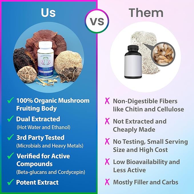 ENCAPSULATE 6 Mushroom Blend – Reishi Chaga Turkey Tail Cordyceps Lion’s Mane &amp Shiitake 8:1 Mushroom Extract – Nootropic &amp Adaptogen Mushroom Supplement for Gut Brain &amp Immune Suppor