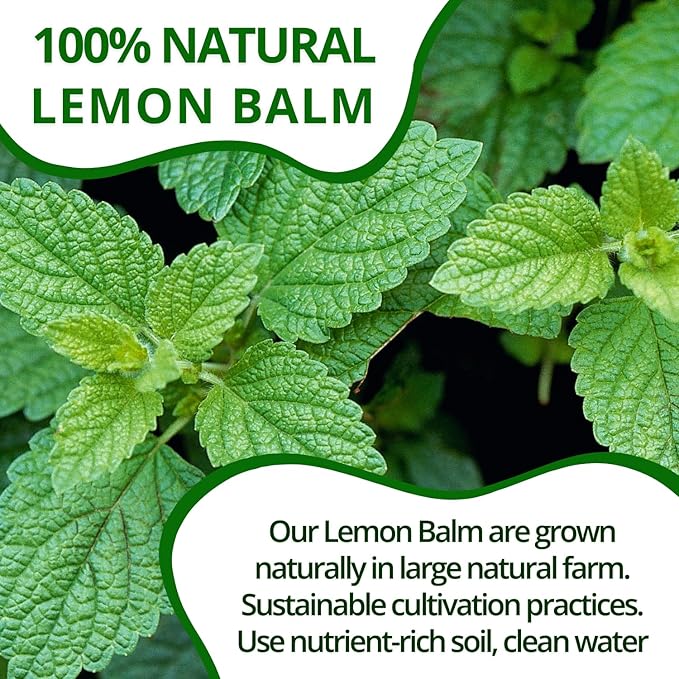 VIDA FARM Lemon Balm Tea Bags 125 Herbal Tea Bags 100% Natural Dried Lemon Balm Herbal Leaves Tea Bag Caffeine Free Sugar Free Citrus Flavor