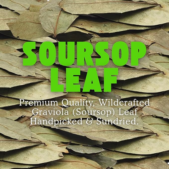 Herbalista - Premium Whole Dried Graviola Soursop Leaf 16oz (1 lb | 1400+ Leaves) | 100% Natural Guanabana Tea | Fresh Wildcrafted and Authentic | Makes 120+ Cups of Delicious Tea