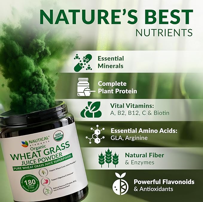 Wheat Grass Powder Organic – Premium Wheat Grass Juice Powder Organic Raw &amp Nutrient-Dense Superfood – Cold-Processed High Chlorophyll Non-GMO Gluten-Free – 6.35oz (180g) | 72 Servings