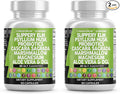 Clean Nutraceuticals Slippery Elm Psyllium Husk Pre Probiotic Digestive Gut Health Supplement with Aloe Vera Cascara Sagrada Marshmallow Root DGL Licorice Senna Extract (Pack of 2)
