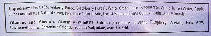 Dr. Smoothie 100% Crushed Fruit Smoothie NorthWest Berry 46 Ounce Bottle
